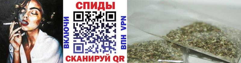 магазин  наркотиков  Сураж  Бутират 1.4BDO 