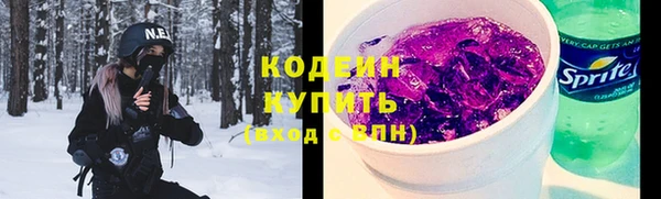 крисы Армянск
